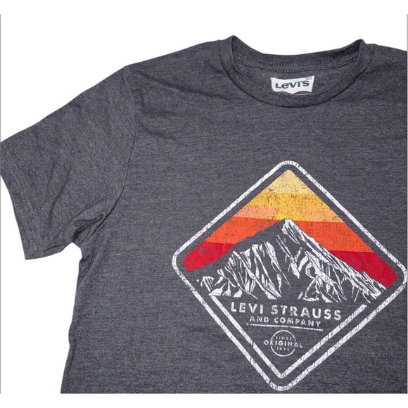Levi's Shirt Men's M Gray Graphic Tee Crew Neck Mountain Short Sleeve Spell Out - Picture 1 of 7